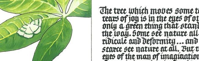 Artwork by founding member Judy Bainbridge