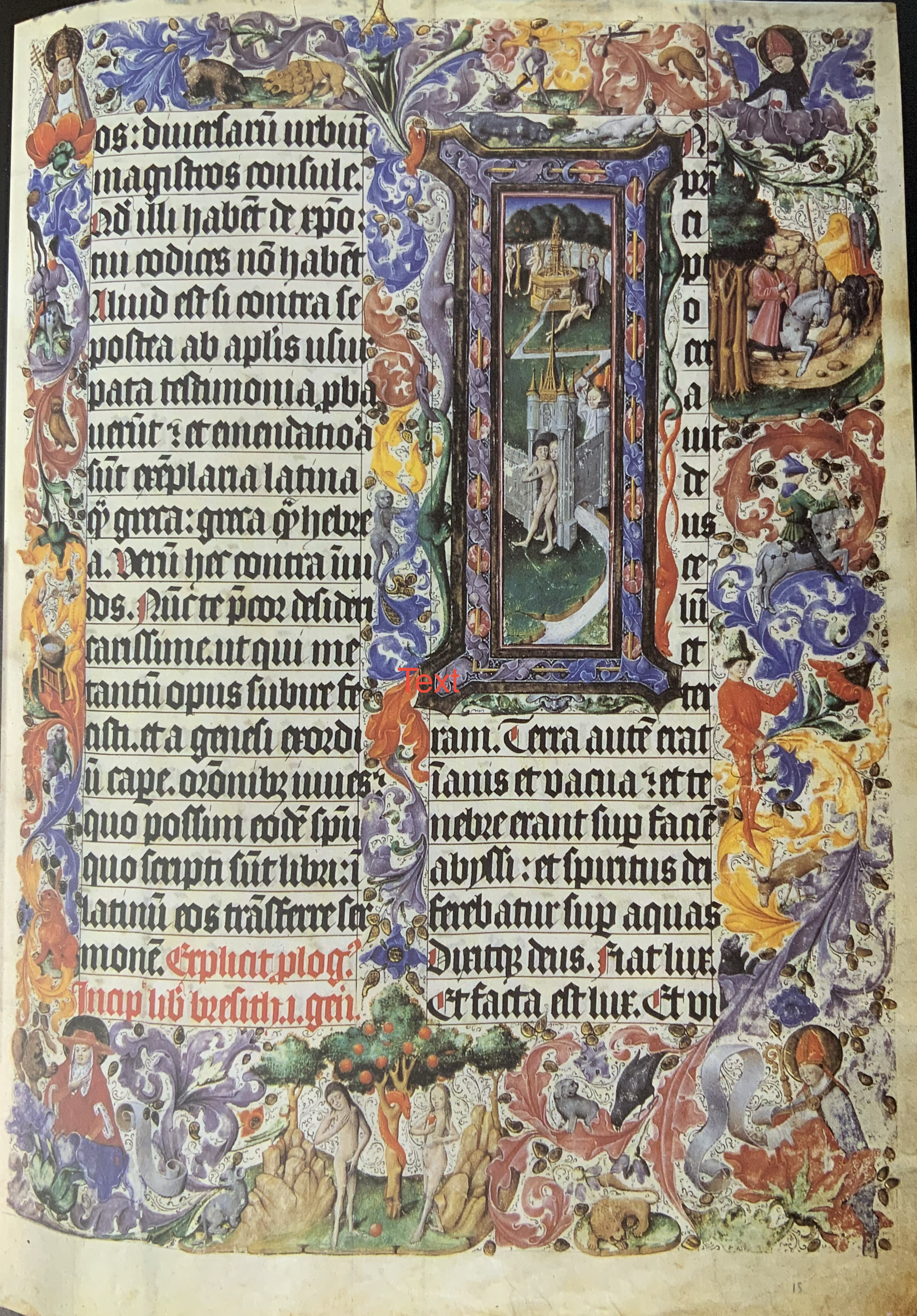 Annual Elections promotional image